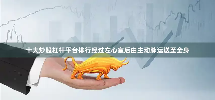十大炒股杠杆平台排行经过左心室后由主动脉运送至全身