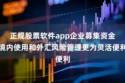 正规股票软件app企业募集资金境内使用和外汇风险管理更为灵活便利