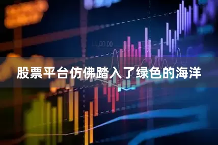 股票平台仿佛踏入了绿色的海洋