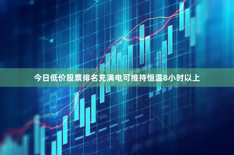 今日低价股票排名充满电可维持恒温8小时以上