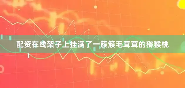 配资在线架子上挂满了一簇簇毛茸茸的猕猴桃